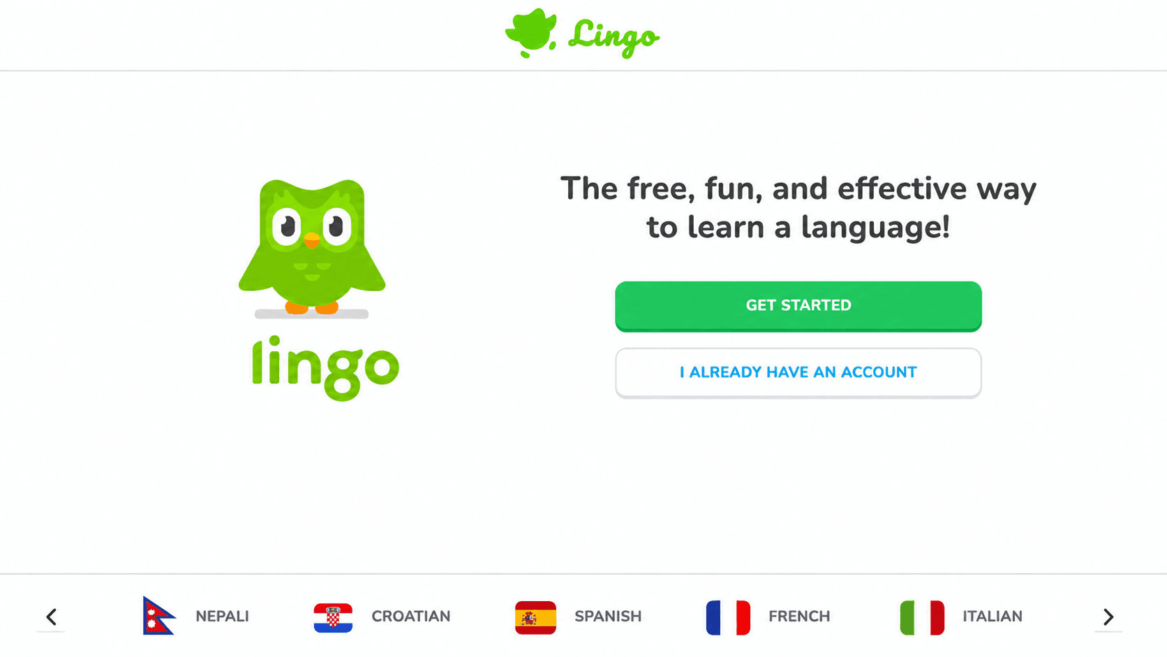 Lingo App project preview